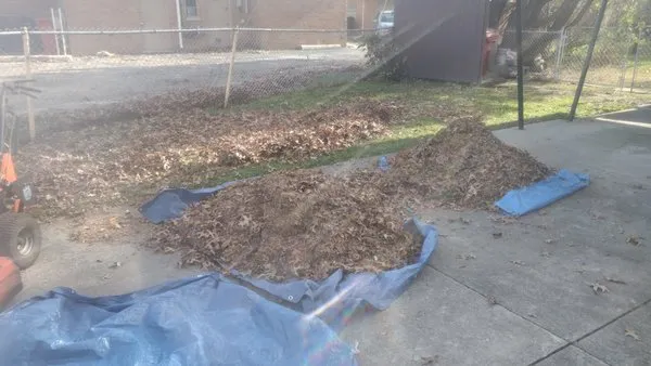 Jim's Landscaping 101 Logo