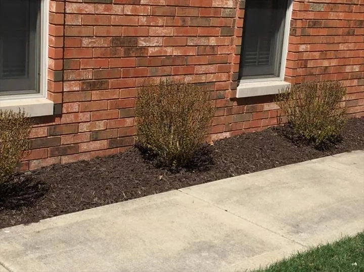Expert landscape installation for residential properties in Monee, IL by Jim's Lawn Care
