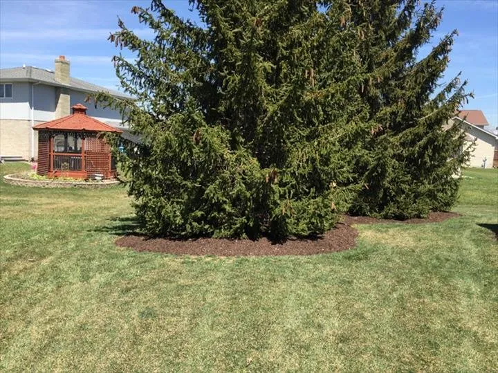 Trusted landscape design in Monee, IL - Jim's Lawn Care