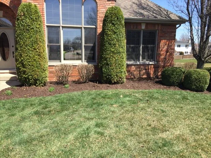 Affordable residential landscaping near you across Monee, IL - Jim's Lawn Care
