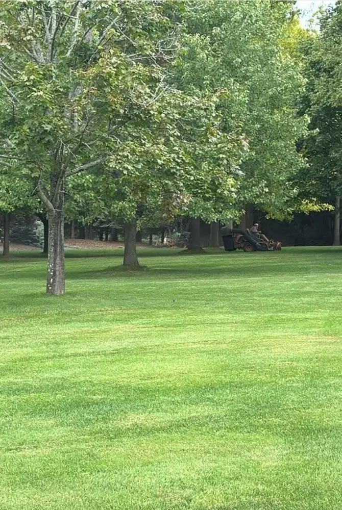 Trusted lawn care service experts serving Tonawanda, NY - Jim's Property Maintenance