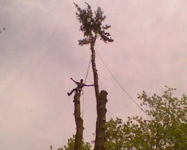 Top-rated landscaping services in Mount Bethel, PA - Jim's Tree Service & Landscaping