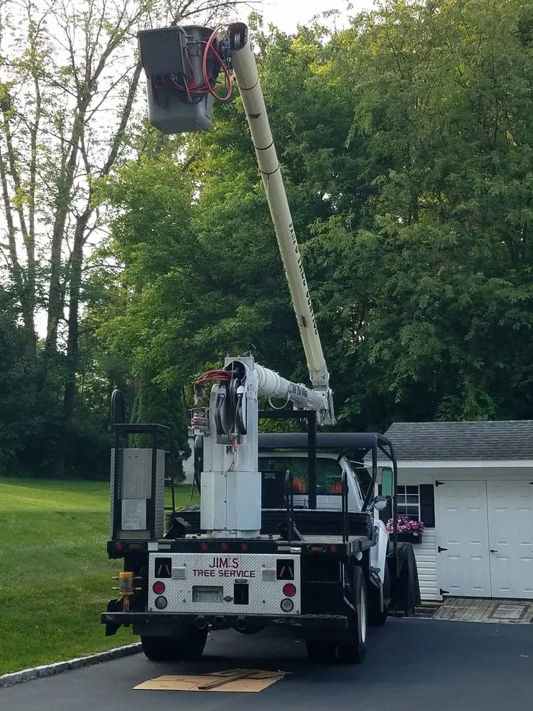 Local garden landscaping in Mount Bethel, PA by Jim's Tree Service & Landscaping