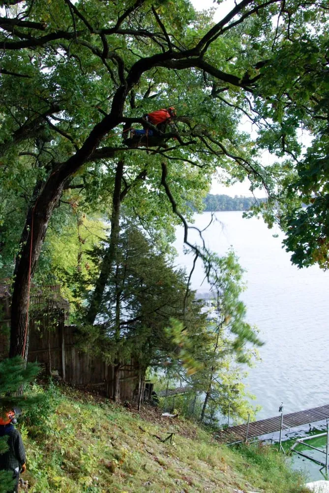Custom lawn mowing service in Isle, MN - Jim's Tree Service