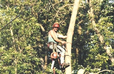 Custom lawn mowing service in Isle, MN by Jim's Tree Service