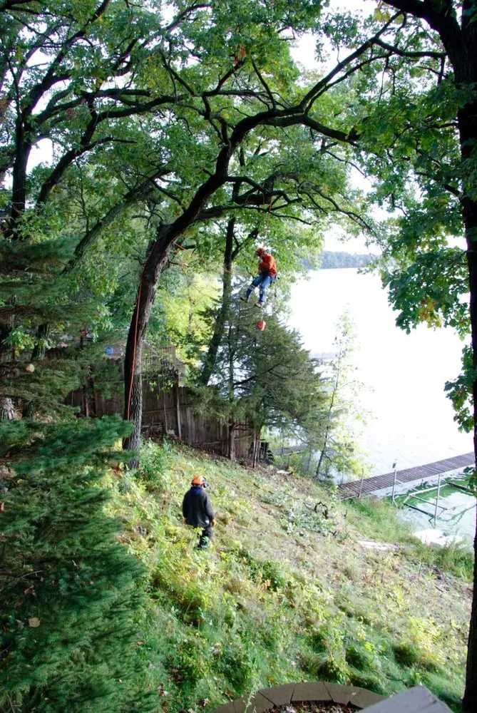 Professional yard cleanup service in Isle, MN - Jim's Tree Service