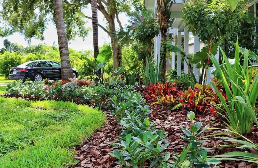 Professional residential landscaping in Hollywood, FL by Jim's Trim and Landscape