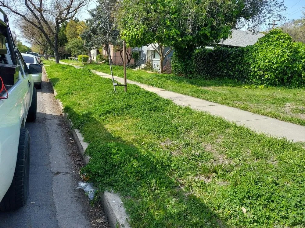 Expert landscaping services in Riverbank, CA by Jim’s Yard Care