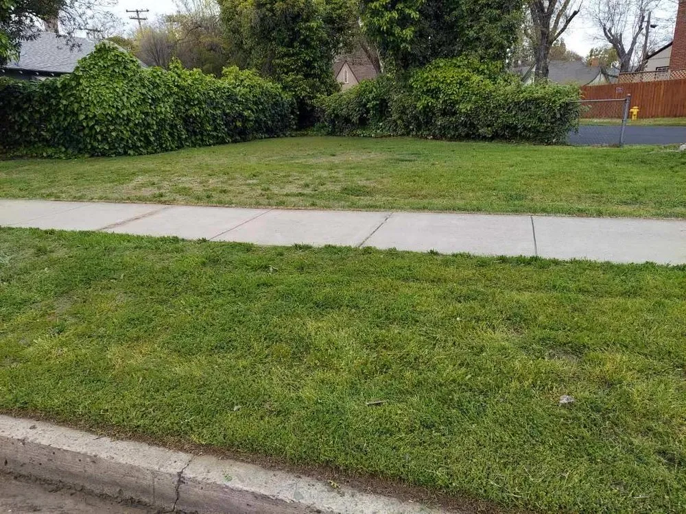 Custom yard cleanup service experts serving Riverbank, CA - Jim’s Yard Care