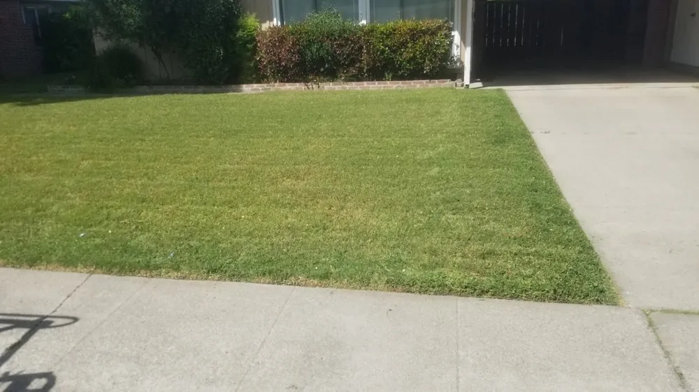 Affordable lawn care service in Riverbank, CA - Jim’s Yard Care