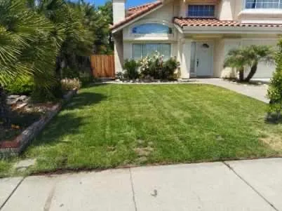 Affordable yard maintenance for beautiful yards in Riverbank, CA by Jim’s Yard Care