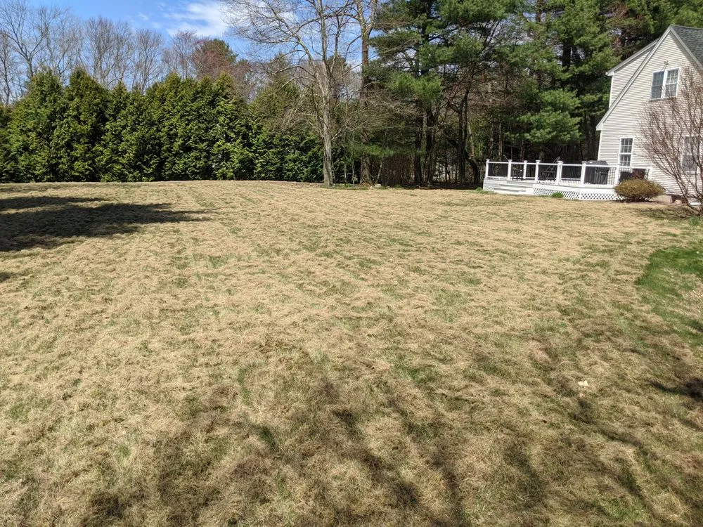 Local outdoor landscaping in Vernon, CT by Jim's Yard Care