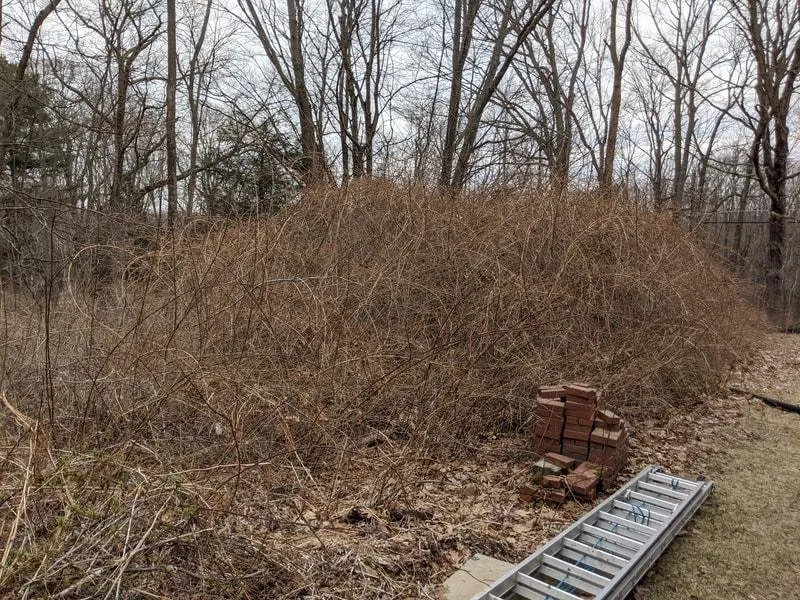 Expert yard maintenance experts serving Vernon, CT - Jim's Yard Care