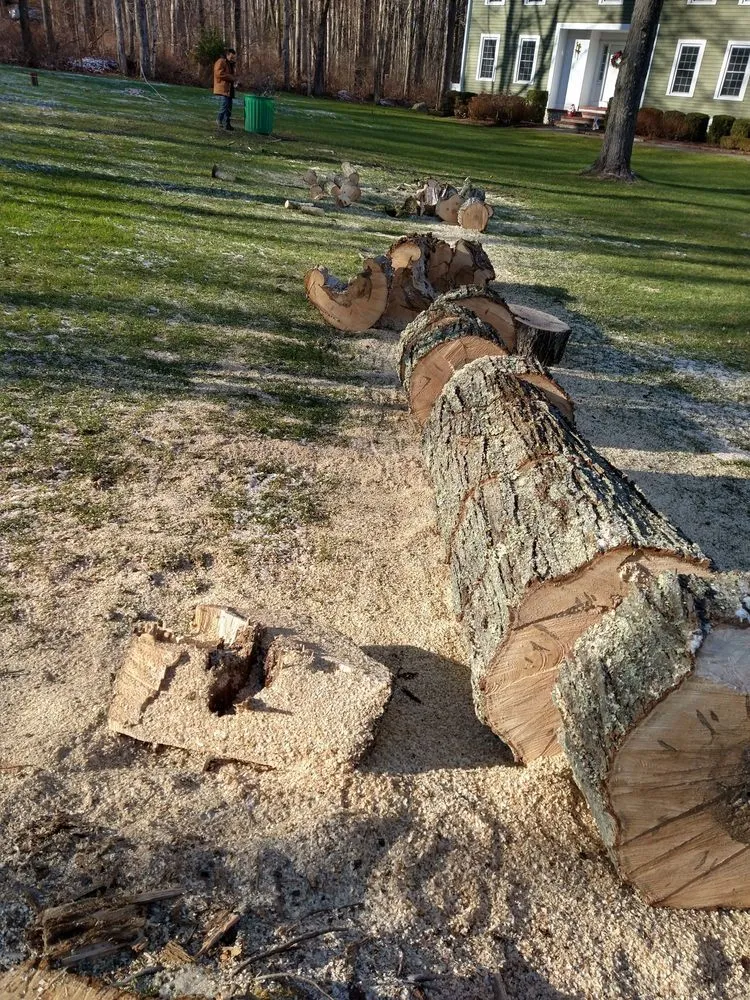 Local landscaping services near you in Danbury, CT by Jimys Landscaping Masonry Tree Service