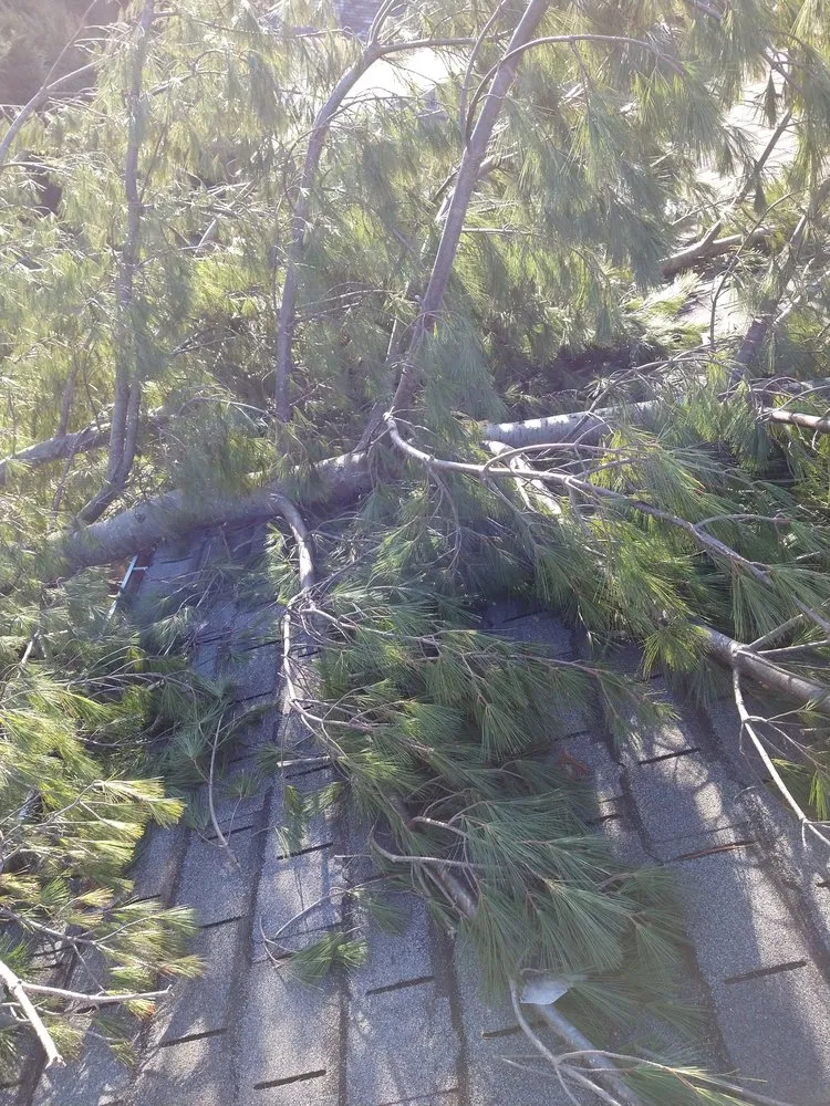 Affordable outdoor landscaping near you in Danbury, CT by Jimys Landscaping Masonry Tree Service