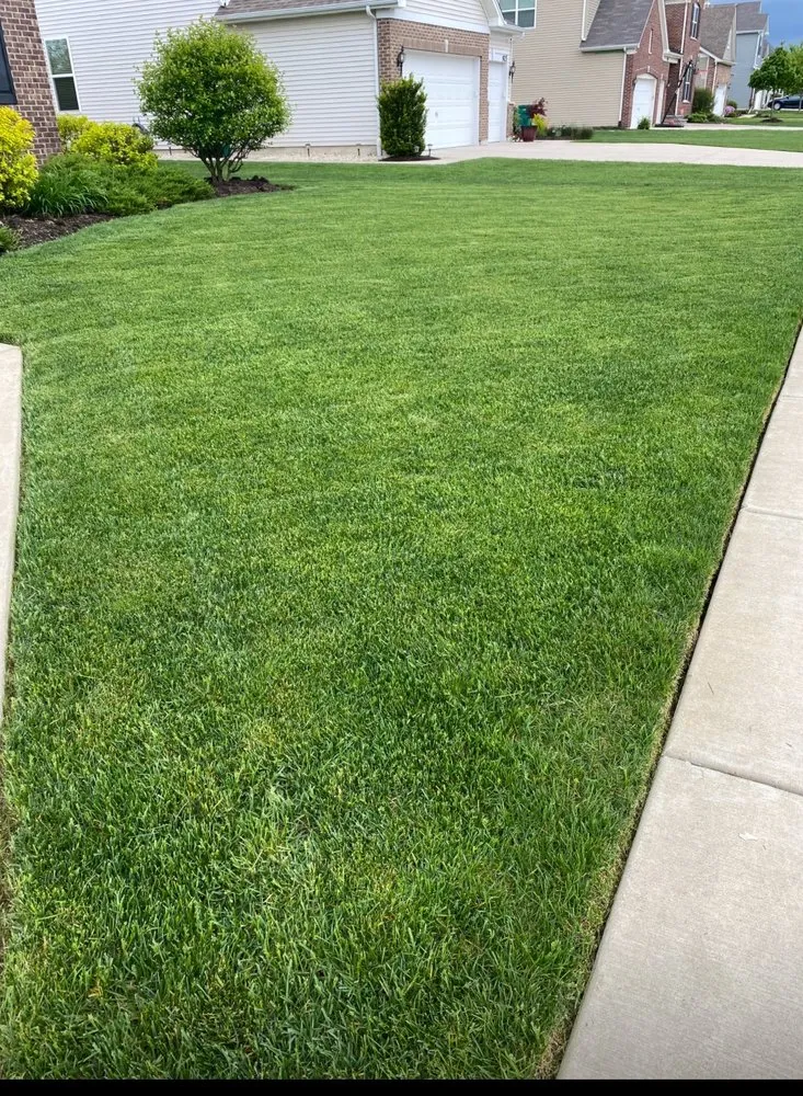 Affordable landscape design in Shorewood, IL by JIO Landscaping & In-Door Remodeling