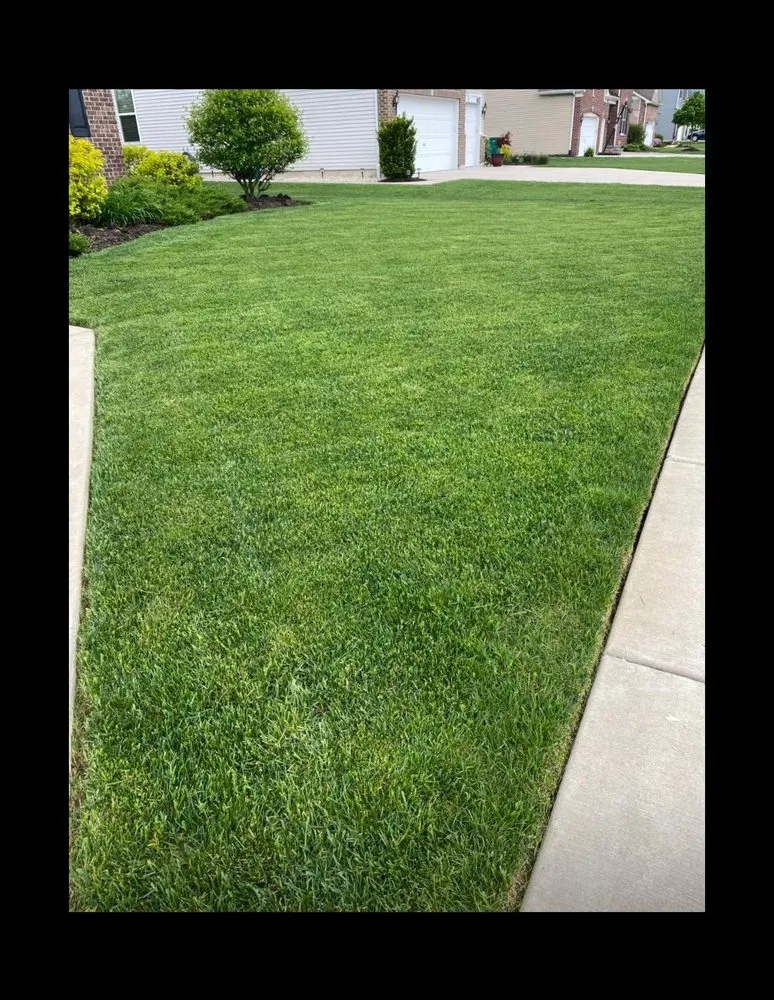 Trusted outdoor landscaping for year-round maintenance across Shorewood, IL - JIO Landscaping & In-Door Remodeling