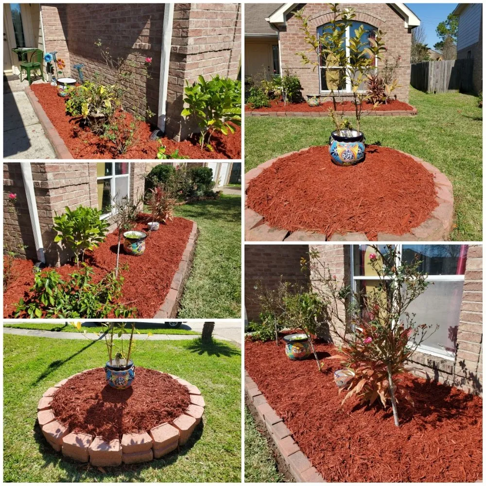 Local yard cleanup service in Baytown, TX - Jira