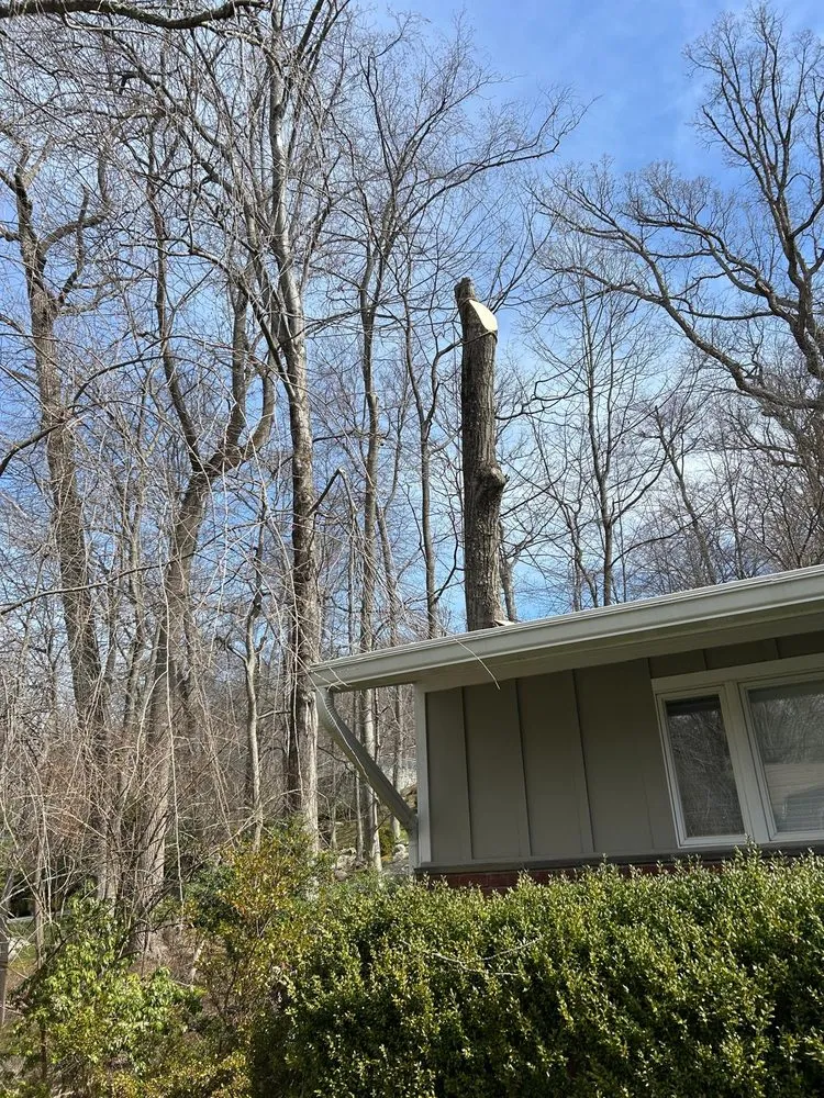 Top-rated landscape design in Dobbs Ferry, NY by Jireh & Tree Services