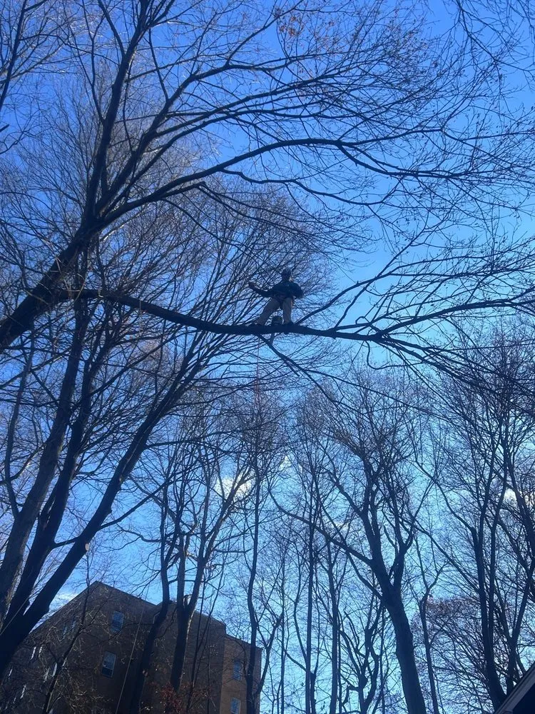 Top-rated garden landscaping for beautiful yards across Dobbs Ferry, NY - Jireh & Tree Services