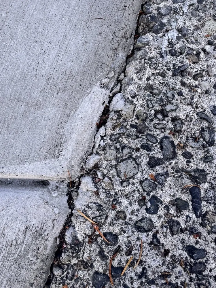 Professional yard cleanup service near you across Mukilteo, WA - Jireh Asphalt And Concrete