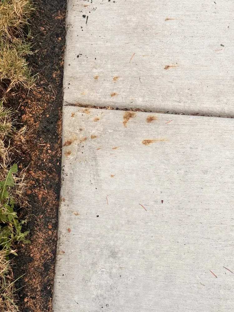 Reliable landscaping services for year-round maintenance across Mukilteo, WA - Jireh Asphalt And Concrete