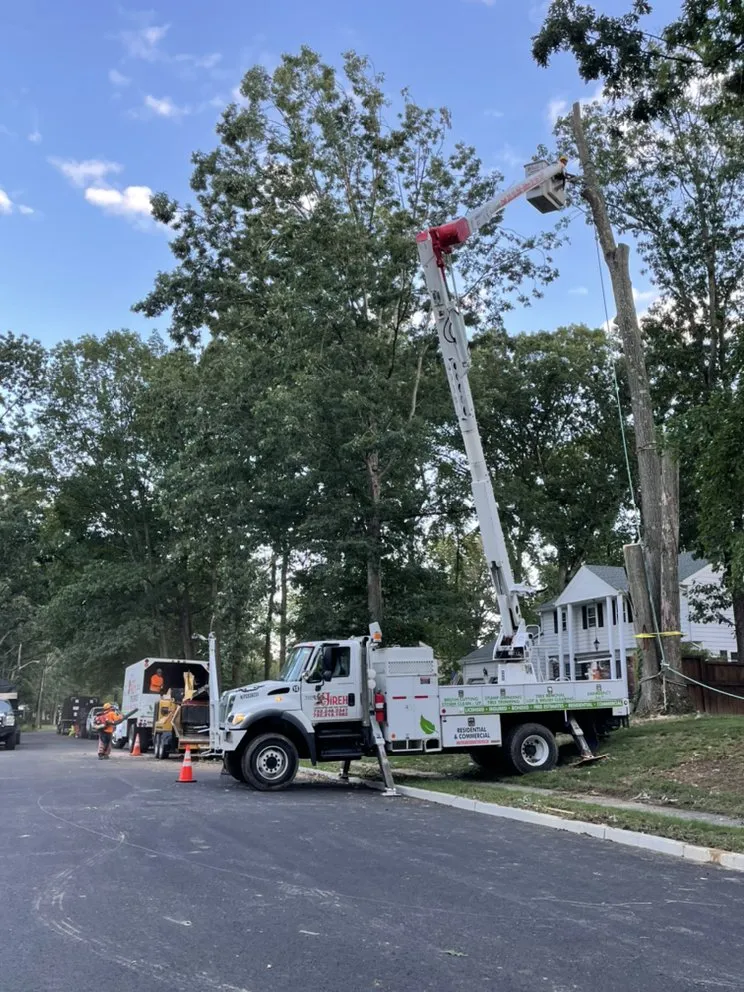 Expert residential landscaping for beautiful yards in New Brunswick, NJ by Jireh Landscaping & Tree Service
