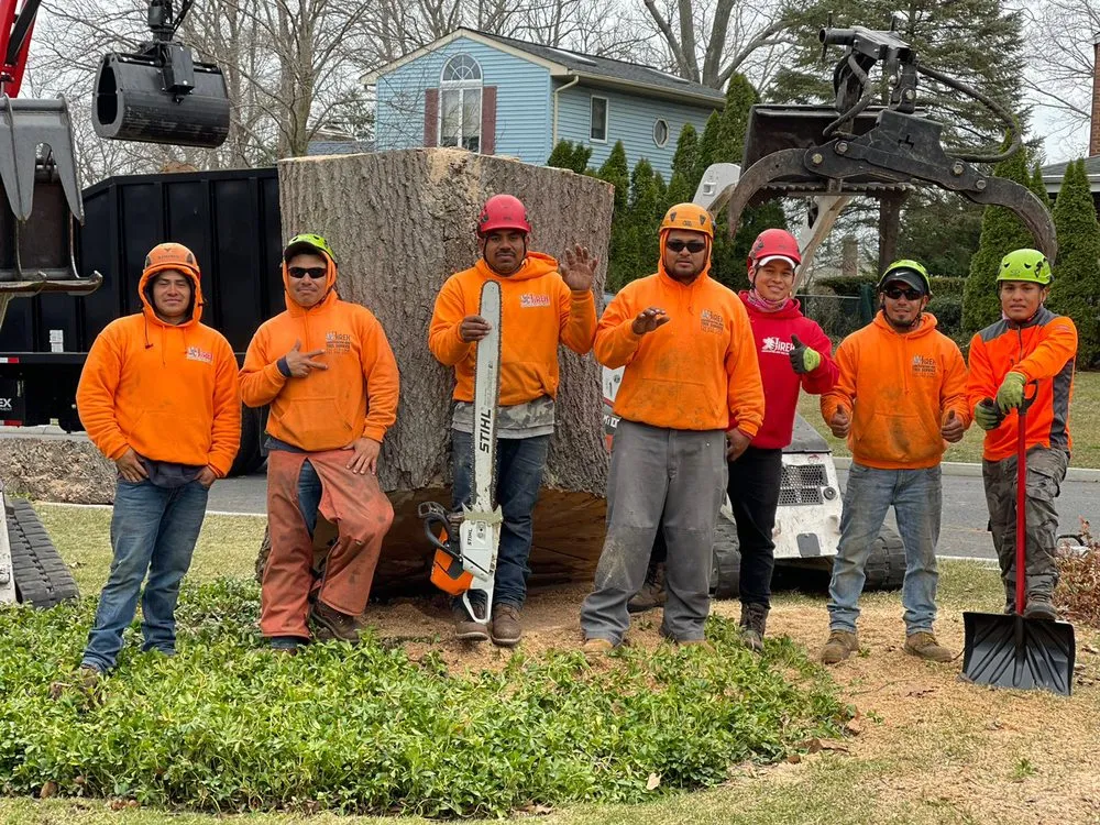 Top-rated yard maintenance in New Brunswick, NJ - Jireh Landscaping & Tree Service