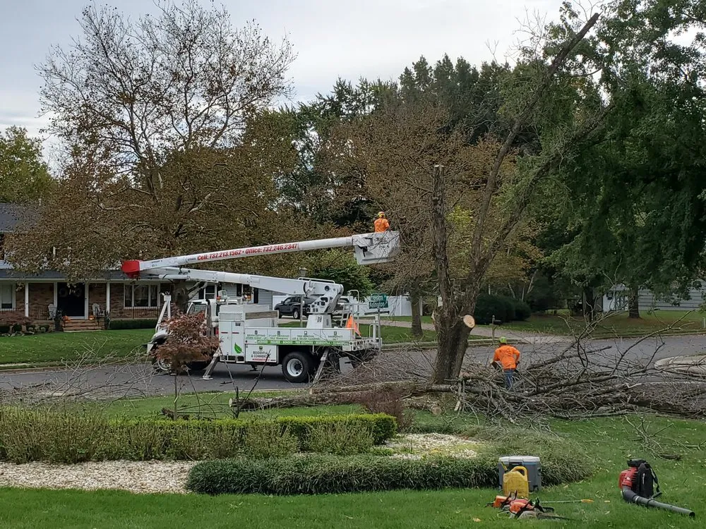 Expert residential landscaping in New Brunswick, NJ - Jireh Landscaping & Tree Service