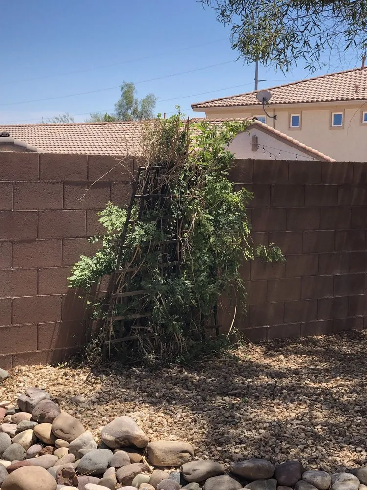 Custom lawn mowing service in New Brunswick, NJ - Jireh Landscaping & Tree Service