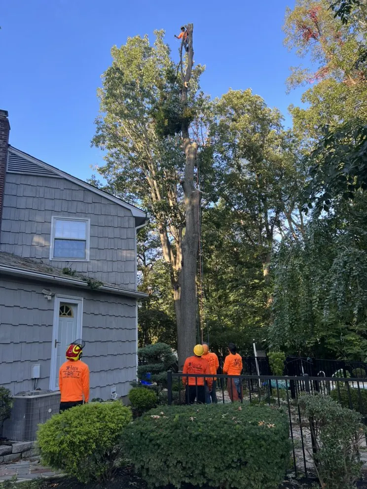 Reliable landscape design for beautiful yards across New Brunswick, NJ - Jireh Landscaping & Tree Service