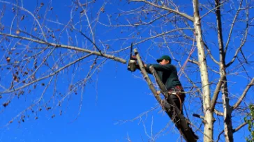 Custom yard cleanup service in New Brunswick, NJ by Jireh Landscaping & Tree Service