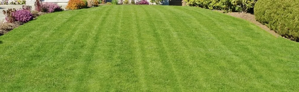 Professional landscape installation in Greenville, SC by Jireh Landscaping