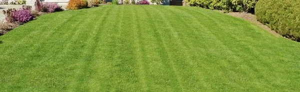 Jireh Landscaping Logo