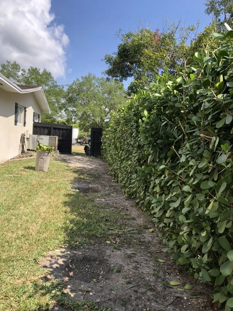 Reliable yard cleanup service with custom design in Miami, FL by Jireh Landscaping