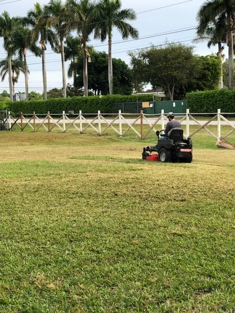 Professional lawn mowing service in Miami, FL by Jireh Landscaping