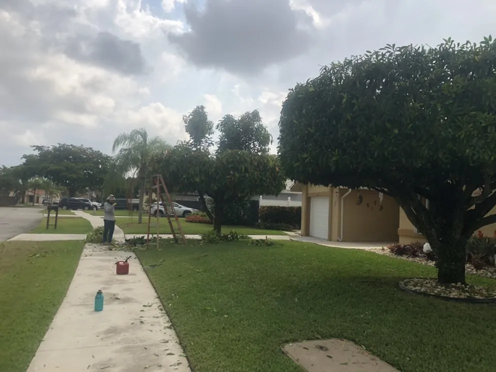 Professional landscaping services for outdoor upgrades across Miami, FL - Jireh Landscaping