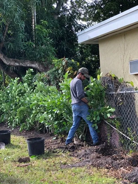 Trusted outdoor landscaping experts serving Miami, FL - Jireh Landscaping