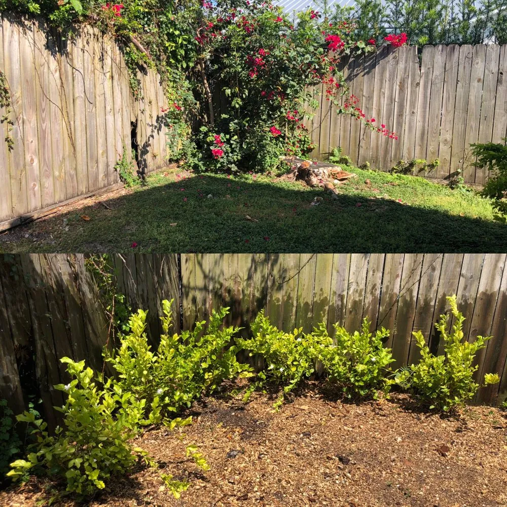 Expert lawn care service in Miami, FL by Jireh Landscaping