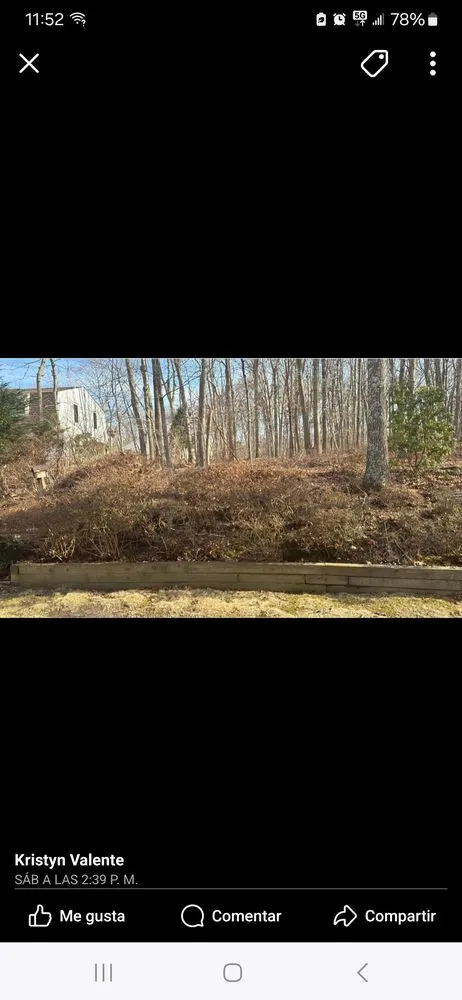 Reliable yard cleanup service for year-round maintenance in Mastic Beach, NY by Jireh Landscaping Services
