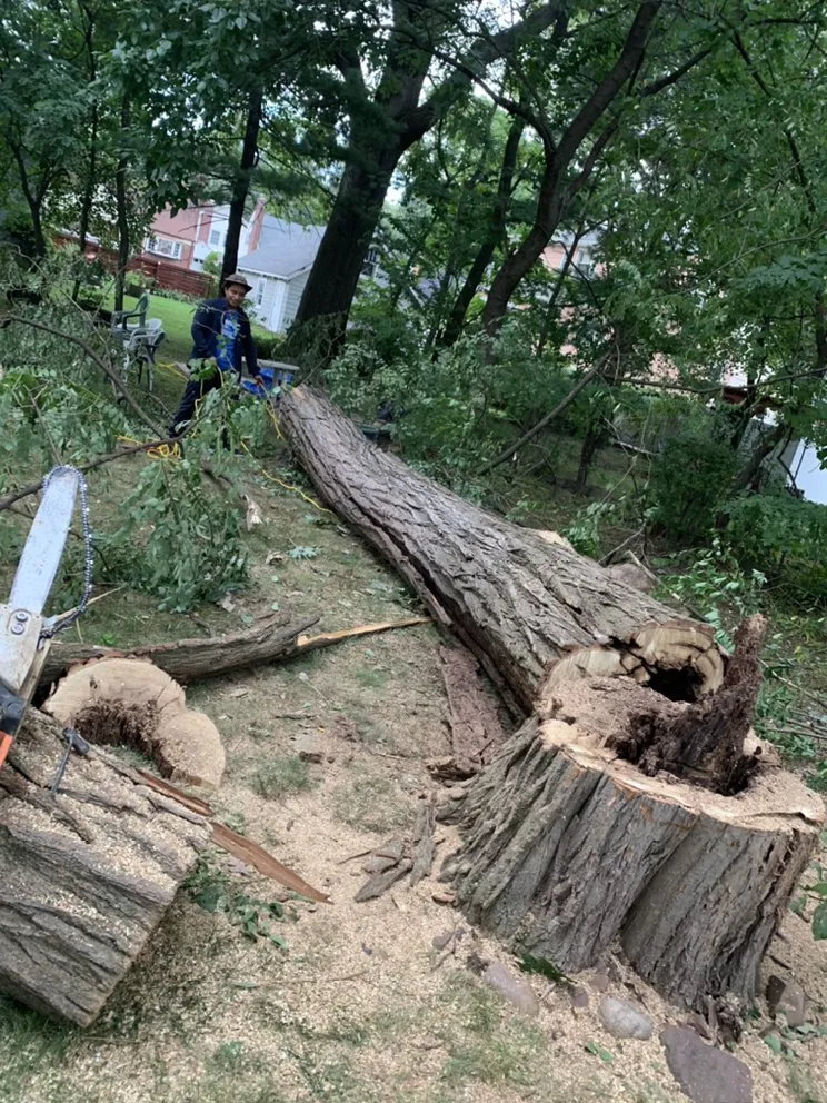 Trusted lawn care service in Englewood, NJ by Jireh Lanscaping And More