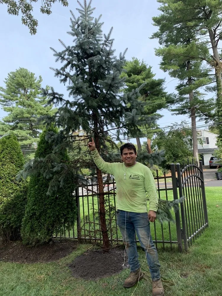 Professional landscape installation in Englewood, NJ by Jireh Lanscaping And More