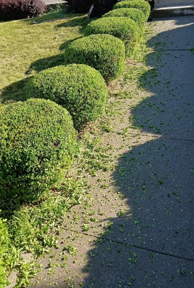 Trusted lawn mowing service for residential properties across Sandy, UT - Jireh Lanscaping