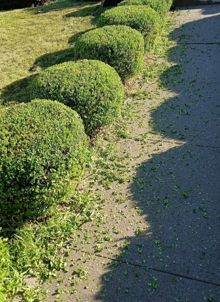 Expert lawn care service experts serving Sandy, UT - Jireh Lanscaping