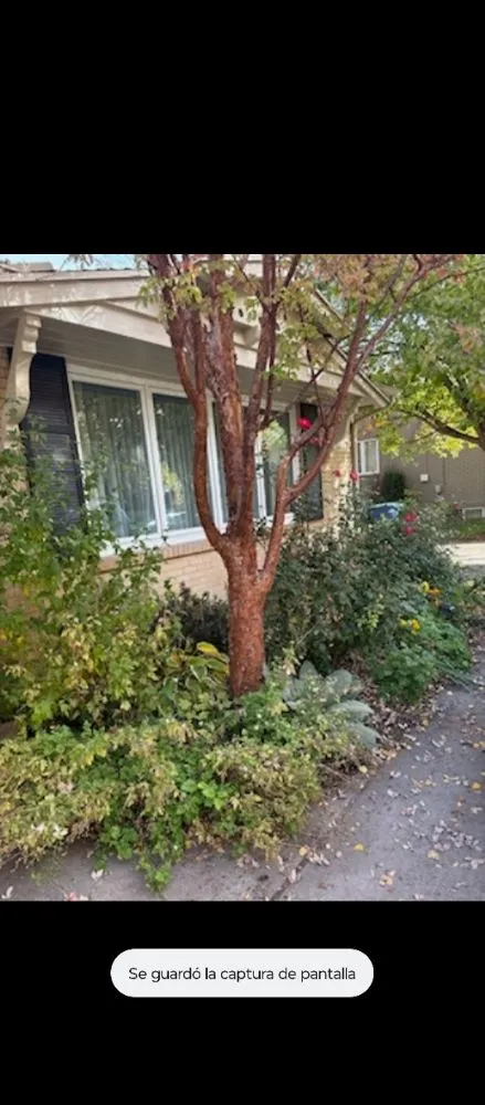 Trusted yard cleanup service in Sandy, UT by Jireh Lanscaping