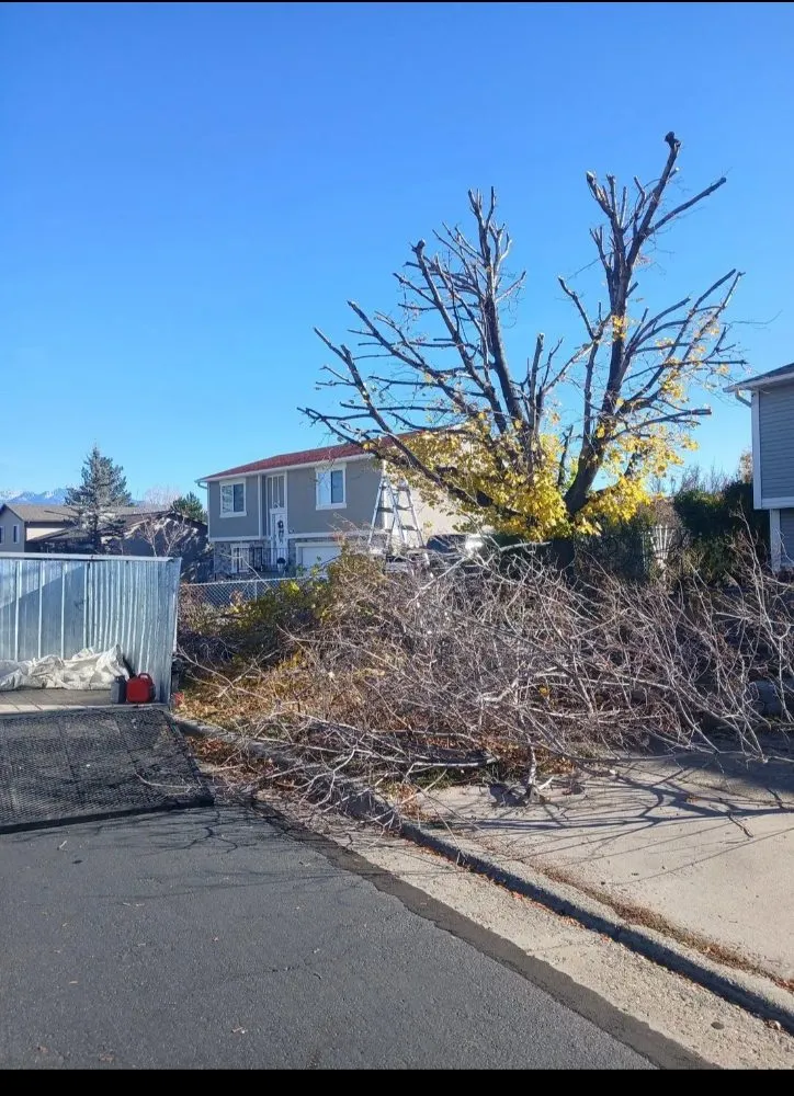 Custom yard cleanup service for outdoor upgrades in Sandy, UT by Jireh Lanscaping