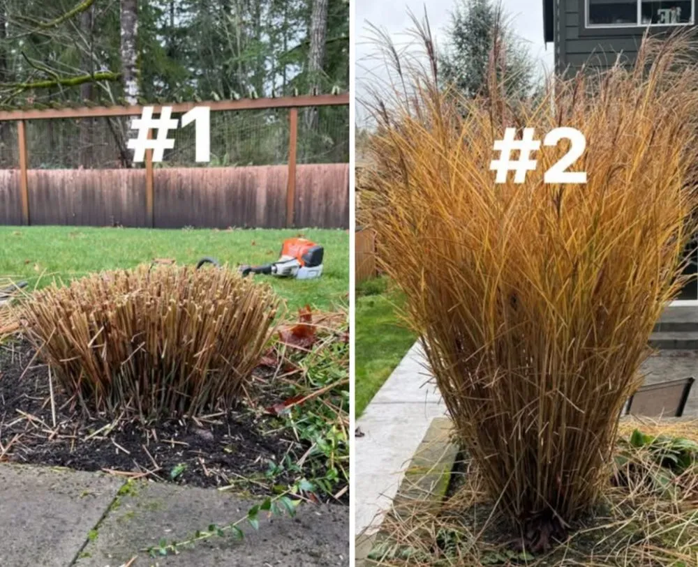 Trusted lawn mowing service for outdoor upgrades across Sandy, UT - Jireh Lanscaping