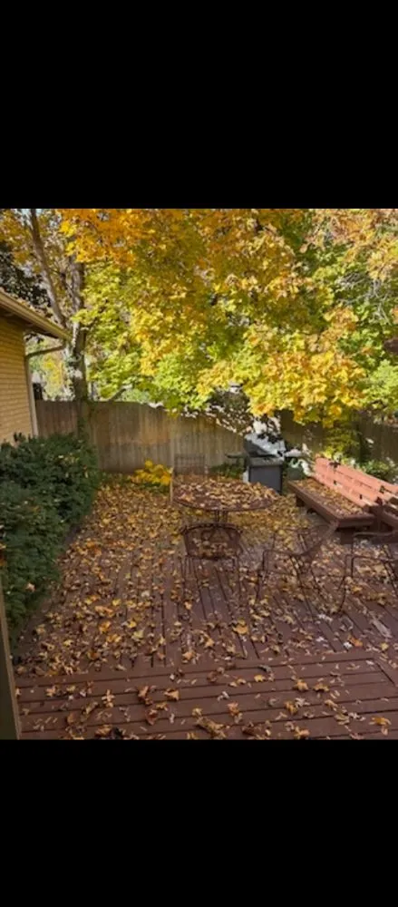 Expert lawn care service with custom design across Sandy, UT - Jireh Lanscaping