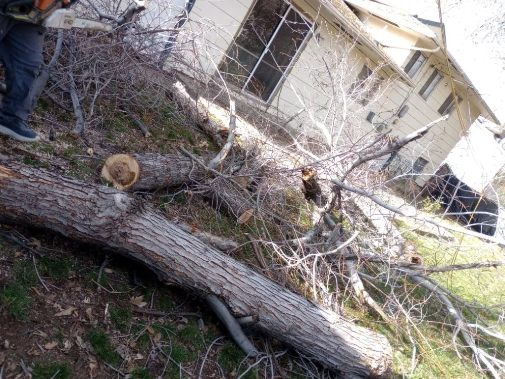 Professional landscaping services for beautiful yards in Sandy, UT by Jireh Lanscaping