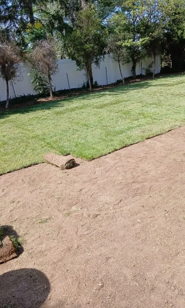 Affordable lawn care service in Sandy, UT by Jireh Lanscaping